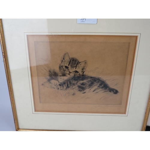 571 - An indistinctly pencil signed limited edition print of a cat, 5/8, 2007. An indistinctly pencil sign... 