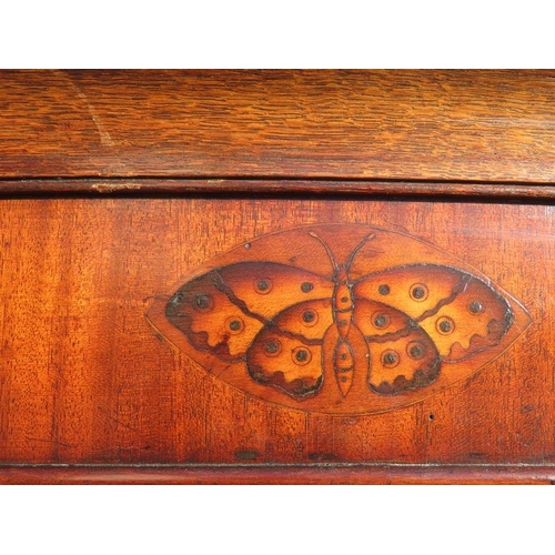 718 - A large 18th century Welsh oak livery cupboard, the inlaid cornice featuring a central butterfly, ab... 