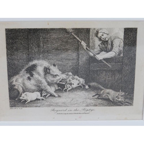 590 - 'Reynard in the Pigstye' and 'Two Hogs' - a pair of etchings, c.1800, 9.5cm x 15cm, framed. 
Conditi... 