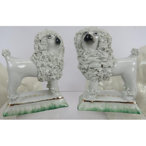 151 - Four pairs of Staffordshire dogs. Pair of standing poodles, the rest sitting. Smallest 8cm high, lar... 