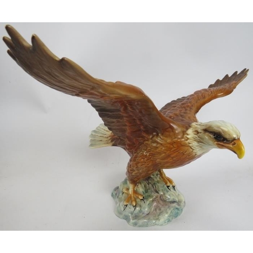 209 - A Beswick model of a Bald Eagle, number 1018, 33cm wingspan, and a Beswick cockatoo, number 1180, 21... 