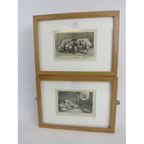 590 - 'Reynard in the Pigstye' and 'Two Hogs' - a pair of etchings, c.1800, 9.5cm x 15cm, framed. 
Conditi... 