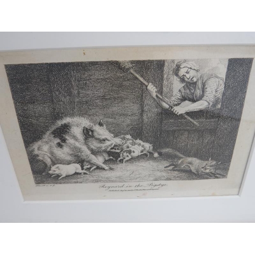 590 - 'Reynard in the Pigstye' and 'Two Hogs' - a pair of etchings, c.1800, 9.5cm x 15cm, framed. 
Conditi... 