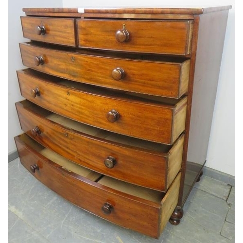 714 - A Georgian mahogany bow-fronted chest of two short over four long graduated cock-beaded drawers with... 