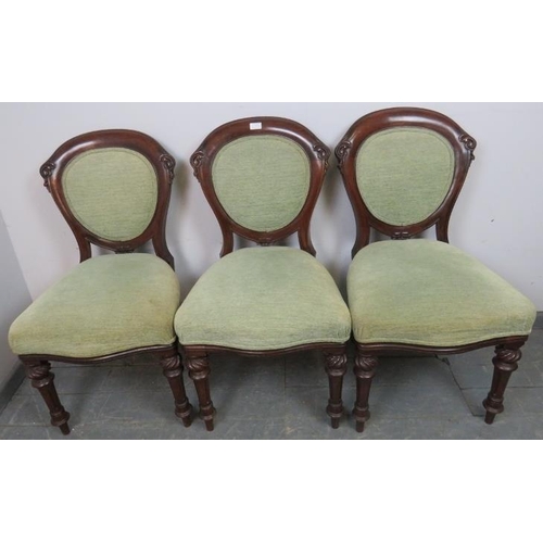 856 - Three good quality 19th century dining chairs with acanthus carved backs, reupholstered in contempor... 