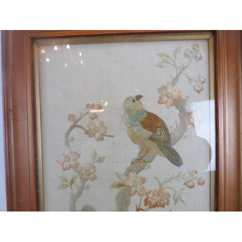 116 - Needle work panel of exotic birds and flowers. Glazed and framed. 29