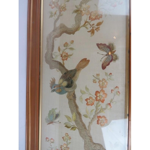 116 - Needle work panel of exotic birds and flowers. Glazed and framed. 29