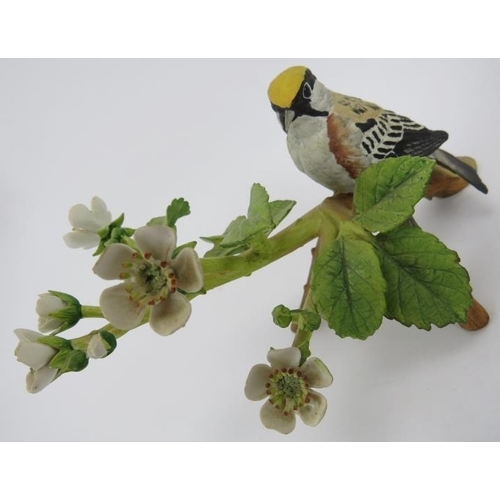 31 - Two RSPB limited edition porcelain bird groups, 'European Goldfinch', 15 cm high, and 'Chestnut-side... 