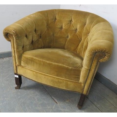 733 - An Edwardian tub chair, upholstered in gold velvet material with brass studs, on square supports wit... 