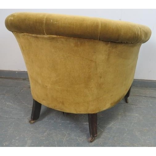 733 - An Edwardian tub chair, upholstered in gold velvet material with brass studs, on square supports wit... 