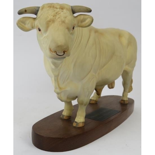 146 - A Beswick Charolais Bull. Modelled on a wooden base. 13.4 in (24 cm) length. 
Condition report: Good... 