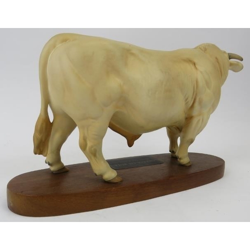 146 - A Beswick Charolais Bull. Modelled on a wooden base. 13.4 in (24 cm) length. 
Condition report: Good... 