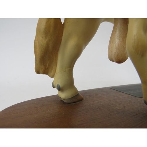 146 - A Beswick Charolais Bull. Modelled on a wooden base. 13.4 in (24 cm) length. 
Condition report: Good... 