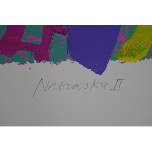 573 - Albert Irvin, R.A (British, 1922-2015) - 'Nebraska II', pencil signed limited edition screen print, ... 