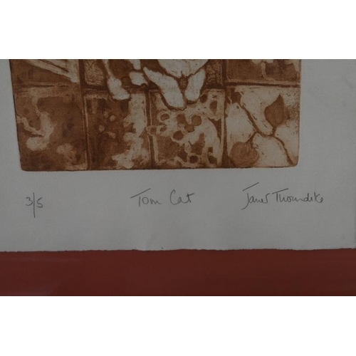 578 - Janet Thorndike (Contemporary) - Four pencil signed limited edition lithographs of cats, all titled ... 