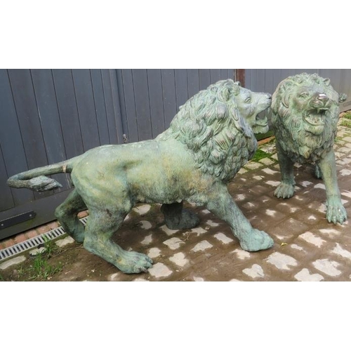 710 - A pair of fantastic bronze Verdigris patinated near life size models of roaring lions, 20th century.... 