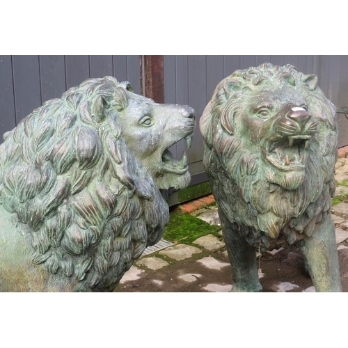 710 - A pair of fantastic bronze Verdigris patinated near life size models of roaring lions, 20th century.... 