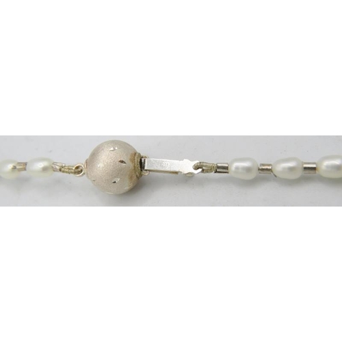 354 - A fresh water pearl necklace with a mother of pearl circular pendant, on a silver ball clasp, boxed.... 