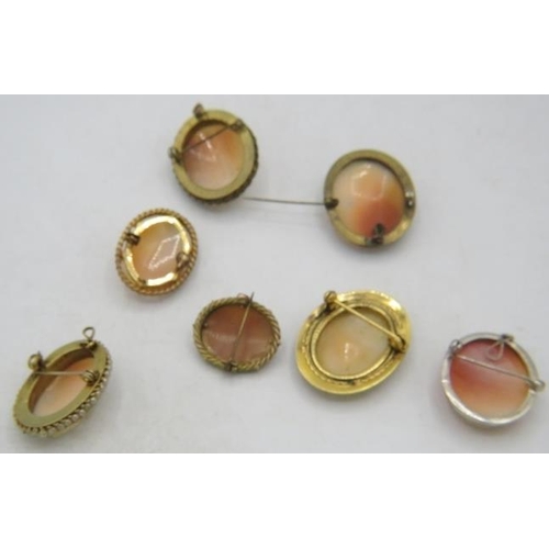 373 - A collection of 7 mainly vintage Cameo brooches/pendants, to include one with seed pearls.
Condition... 