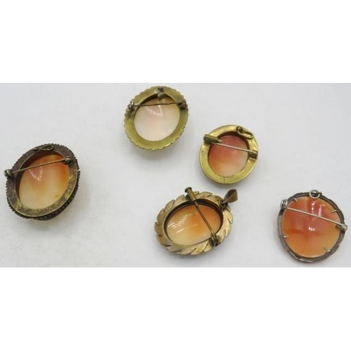 383 - A collection of 5 old Cameo brooches/pendant. Two mounted with seed pearls.
Condition report: Good c... 