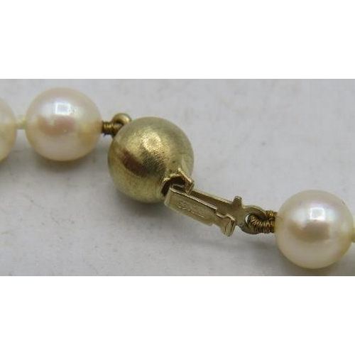 440 - An Akoya cultured pearl necklace individually knotted, approx: 7mm across, with 14ct gold ball clasp... 