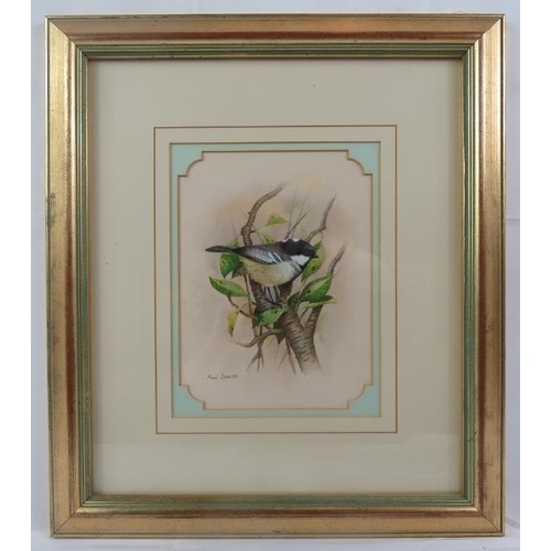 542 - Paul Dawson (b.1946) - 'Coal Tit', watercolour, signed, label verso for the Haste Gallery, Ipswich, ... 