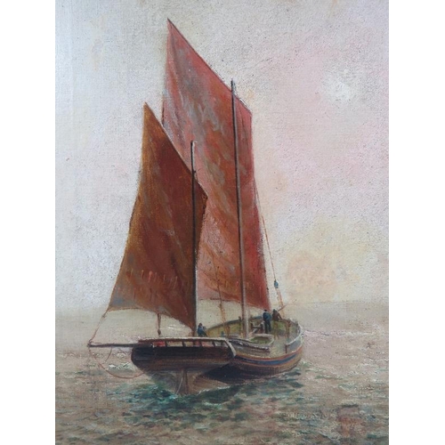 587 - J. Shearer (19th/early 20th century) - 'Sailboat in calm waters', oil on canvas, signed, label verso... 