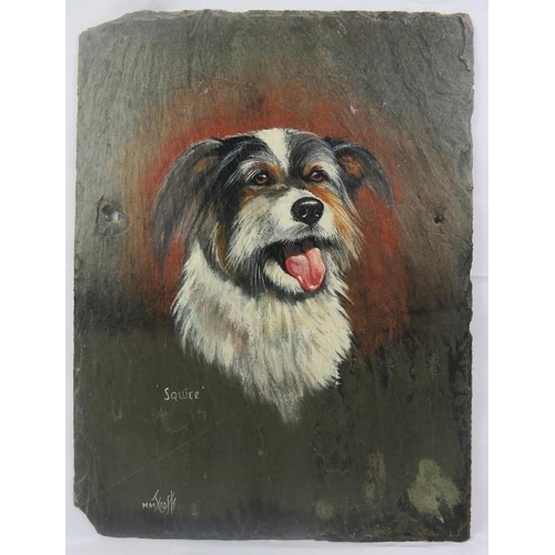 615 - M.M.J. Crofts (20th century) - Three portrait dog paintings on slate panels, each named, signed and ... 