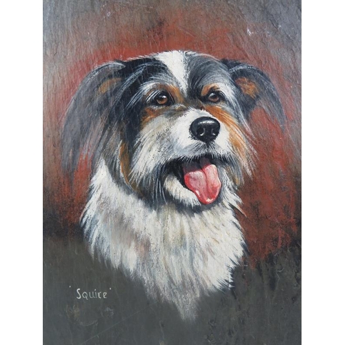 615 - M.M.J. Crofts (20th century) - Three portrait dog paintings on slate panels, each named, signed and ... 