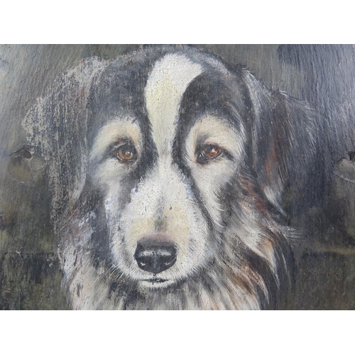 615 - M.M.J. Crofts (20th century) - Three portrait dog paintings on slate panels, each named, signed and ... 