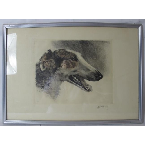 571 - Kurt Meyer-Eberhardt (1895 - 1977) - 'Two Borzoi' and 'Head of a Borzoi', pencil signed etchings 34c... 