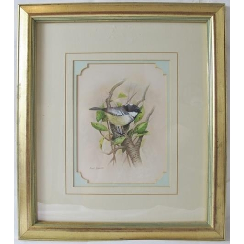 614 - Paul Dawson (b.1946) - 'Coal Tit', watercolour, signed, label verso for the Haste Gallery, Ipswich, ... 