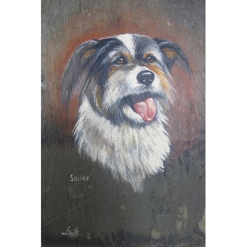 615 - M.M.J. Crofts (20th century) - Three portrait dog paintings on slate panels, each named, signed and ... 