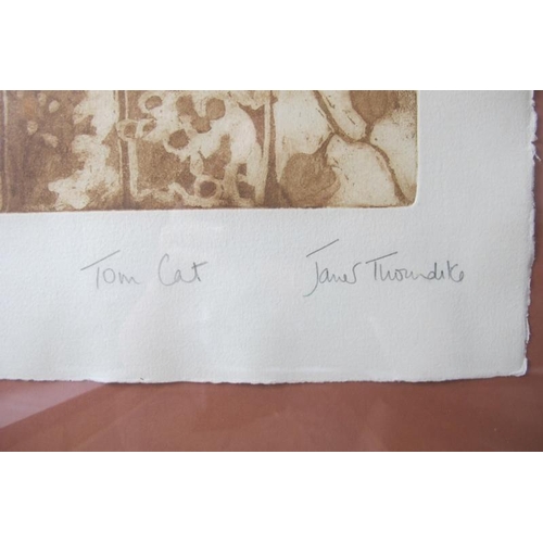 628 - Janet Thorndike (Contemporary) - Four pencil signed limited edition lithographs of cats, all titled ... 