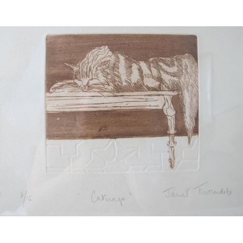 628 - Janet Thorndike (Contemporary) - Four pencil signed limited edition lithographs of cats, all titled ... 