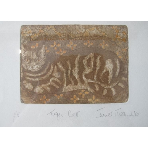 628 - Janet Thorndike (Contemporary) - Four pencil signed limited edition lithographs of cats, all titled ... 