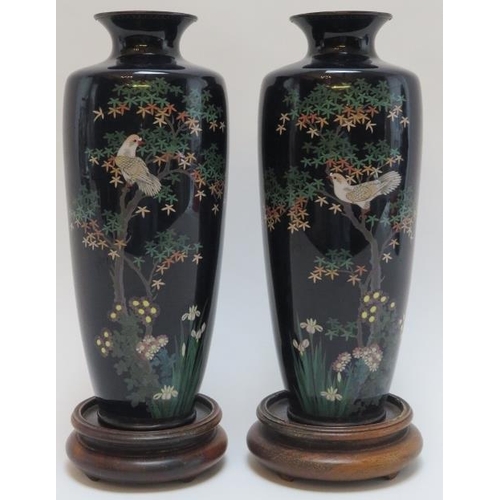 86 - A pair of Japanese cloisonné enamelled vases, Meiji period. Decorated with flowers and birds amongst... 