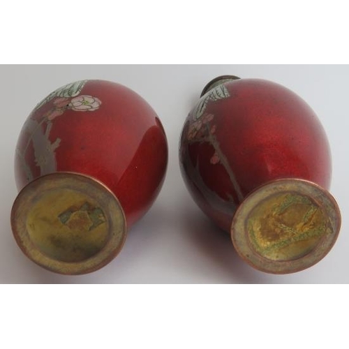 88 - A pair of Japanese cloisonné enamelled vases, Meiji period. Decorated with cockatoos perched on blos... 