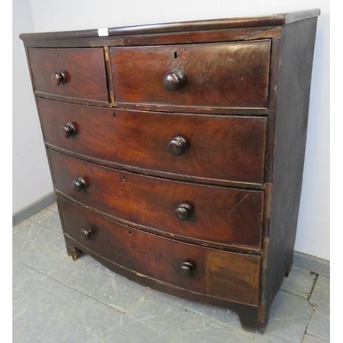 783 - A Georgian mahogany bow-fronted chest of two short over three long graduated cock-beaded drawers wit... 