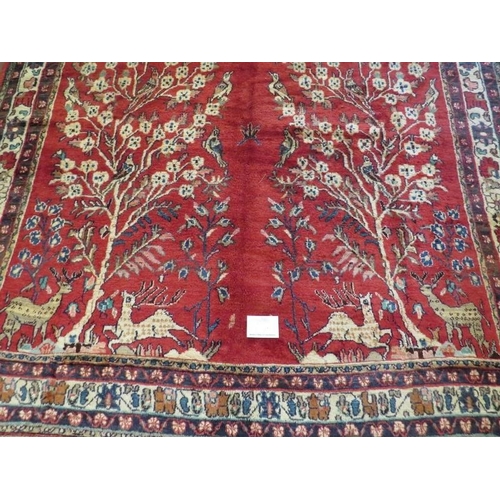 913 - A North East Persian meshed carpet central scene of trees, stage and birds on red ground. In good co... 