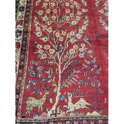 913 - A North East Persian meshed carpet central scene of trees, stage and birds on red ground. In good co... 