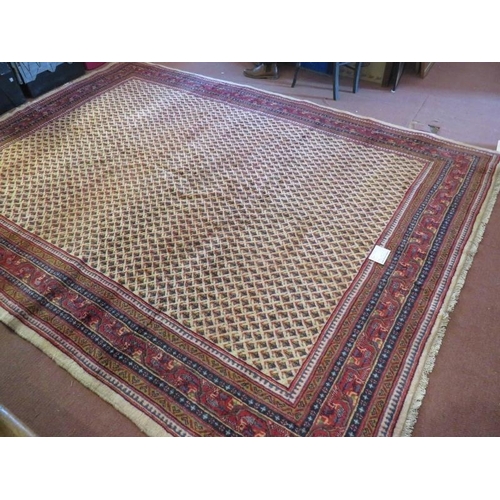 917 - A North East Persian Sarouk Mir carpet central repeat pattern field on cream ground and deep border.... 