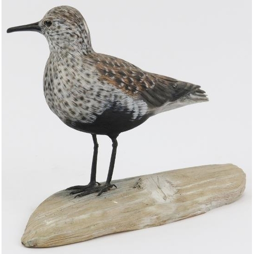 43 - A Mike Wood hand carved and painted wooden sculpture of a Dunlin coastal wader bird. Very finely, na... 