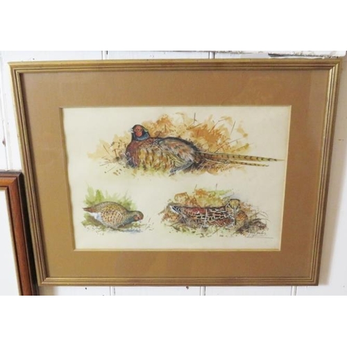 590 - Ian Bowles (Kent Wildlife Artist, 1946-2018) - A fine collection of 8 ornithological watercolours (s... 