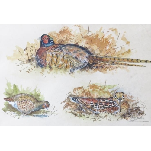 590 - Ian Bowles (Kent Wildlife Artist, 1946-2018) - A fine collection of 8 ornithological watercolours (s... 