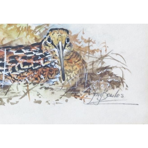 590 - Ian Bowles (Kent Wildlife Artist, 1946-2018) - A fine collection of 8 ornithological watercolours (s... 