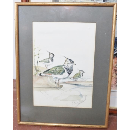 590 - Ian Bowles (Kent Wildlife Artist, 1946-2018) - A fine collection of 8 ornithological watercolours (s... 