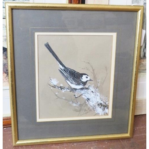 590 - Ian Bowles (Kent Wildlife Artist, 1946-2018) - A fine collection of 8 ornithological watercolours (s... 