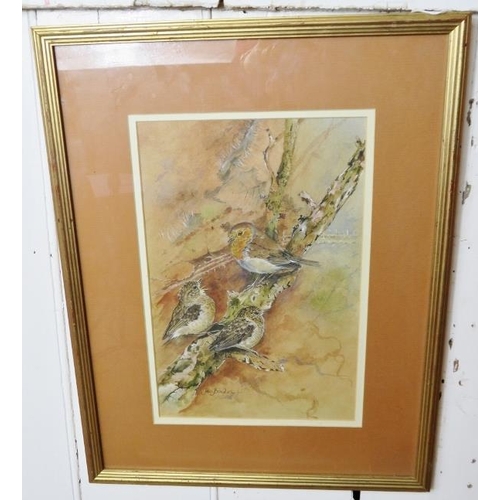 590 - Ian Bowles (Kent Wildlife Artist, 1946-2018) - A fine collection of 8 ornithological watercolours (s... 