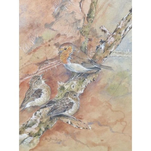 590 - Ian Bowles (Kent Wildlife Artist, 1946-2018) - A fine collection of 8 ornithological watercolours (s... 